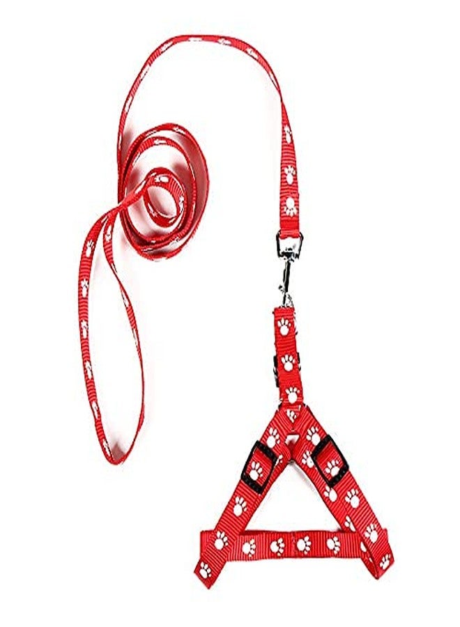 KittuPet 10 mm pow print harness and leash color may very (pack of 1 pcs) - Image 1